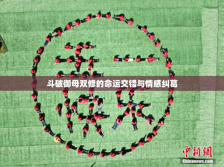 斗破御母双修的命运交错与情感纠葛