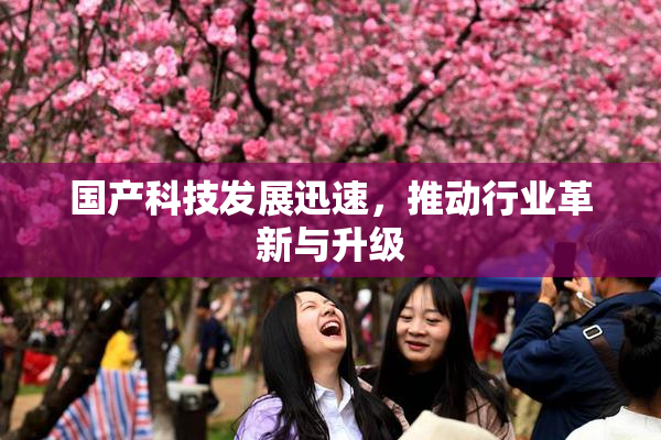 国产科技发展迅速，推动行业革新与升级