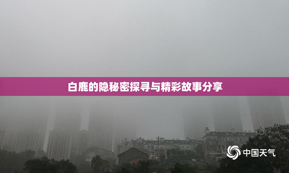 白鹿的隐秘密探寻与精彩故事分享