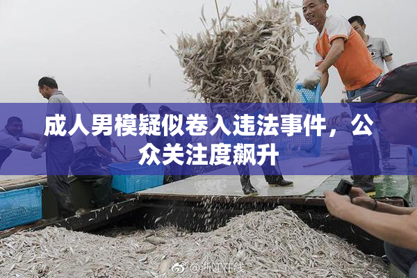 成人男模疑似卷入违法事件，公众关注度飙升