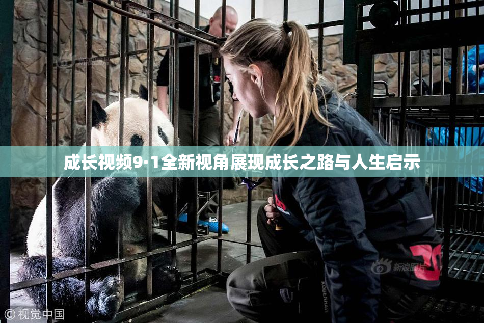 成长视频9·1全新视角展现成长之路与人生启示