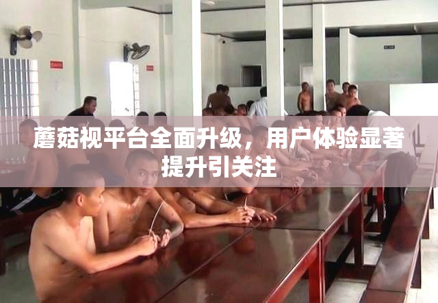 蘑菇视平台全面升级，用户体验显著提升引关注