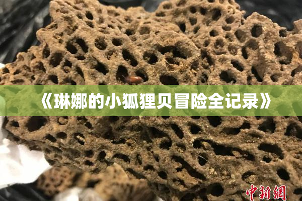 《琳娜的小狐狸贝冒险全记录》