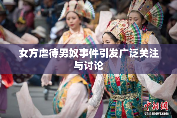 女方虐待男奴事件引发广泛关注与讨论