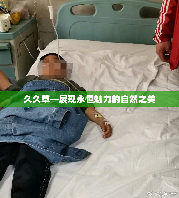 久久草—展现永恒魅力的自然之美