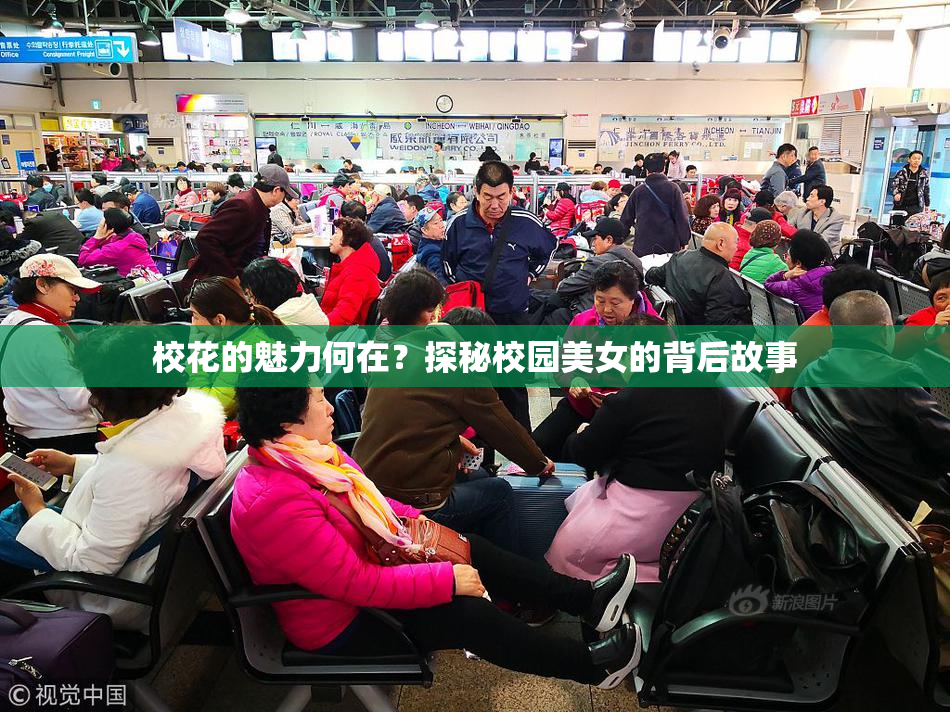 校花的魅力何在？探秘校园美女的背后故事