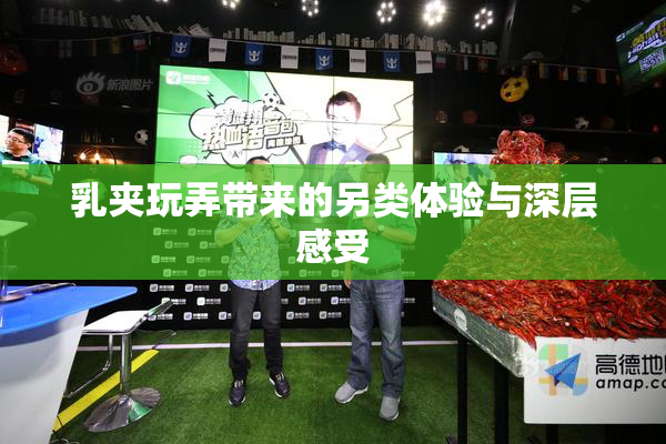 乳夹玩弄带来的另类体验与深层感受
