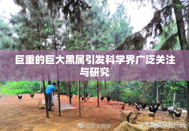 巨重的巨大黑属引发科学界广泛关注与研究