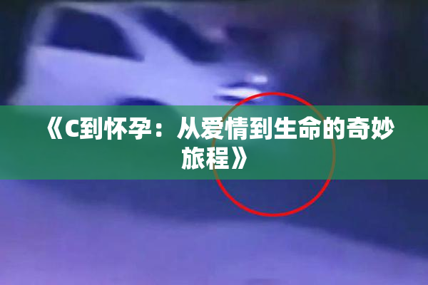 《C到怀孕：从爱情到生命的奇妙旅程》