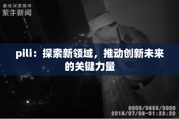 pili：探索新领域，推动创新未来的关键力量