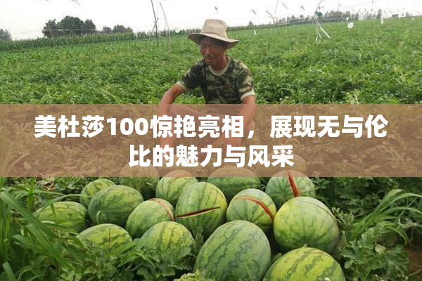 美杜莎100惊艳亮相，展现无与伦比的魅力与风采