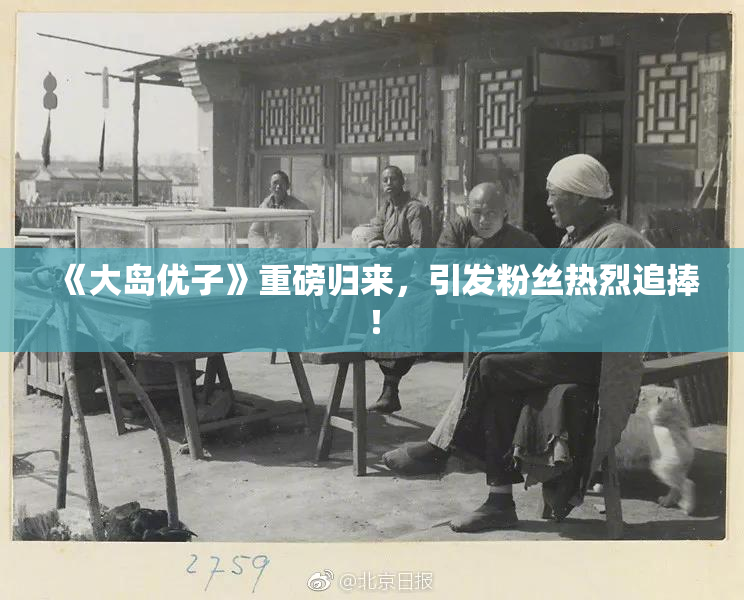《大岛优子》重磅归来，引发粉丝热烈追捧！