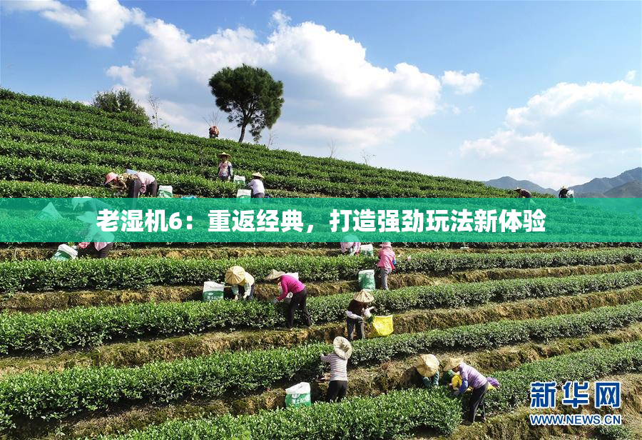 老湿机6：重返经典，打造强劲玩法新体验
