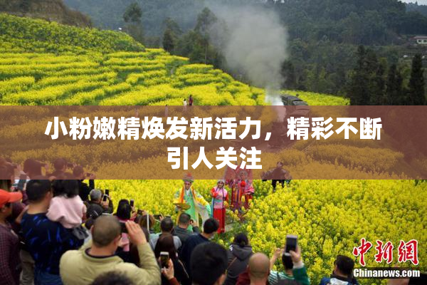 小粉嫩精焕发新活力，精彩不断引人关注