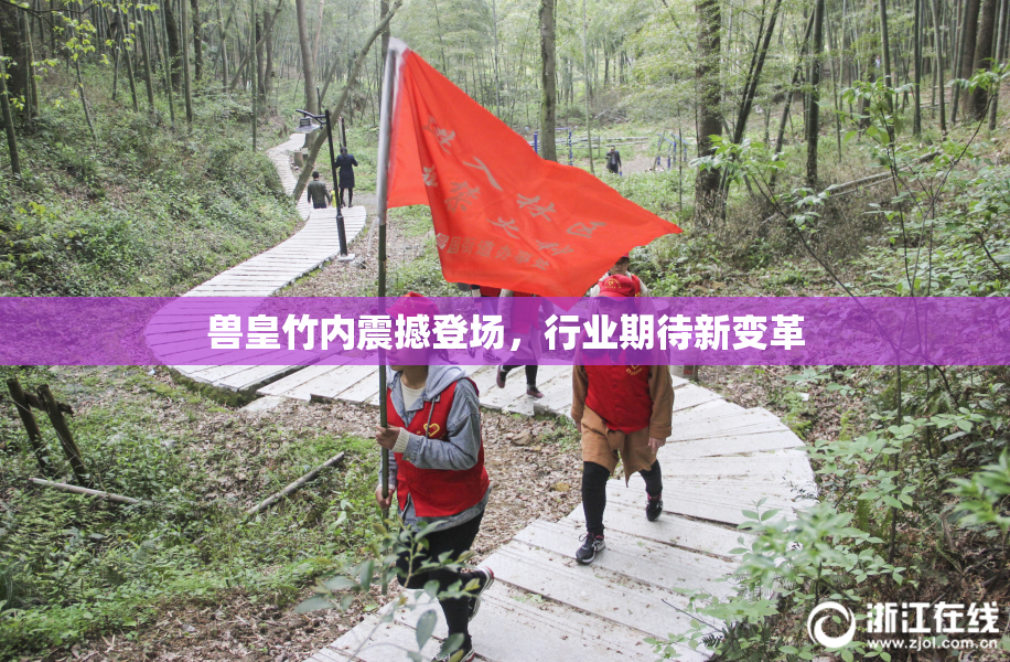 兽皇竹内震撼登场，行业期待新变革
