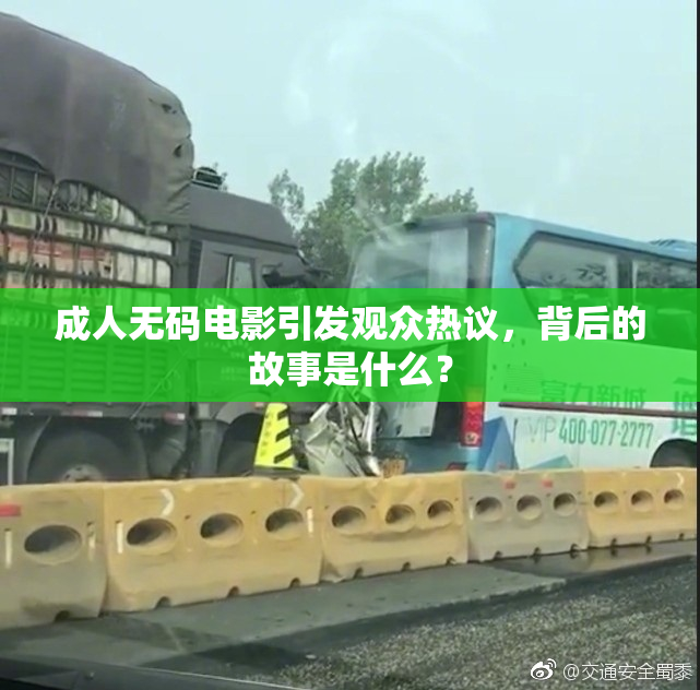 成人无码电影引发观众热议，背后的故事是什么？