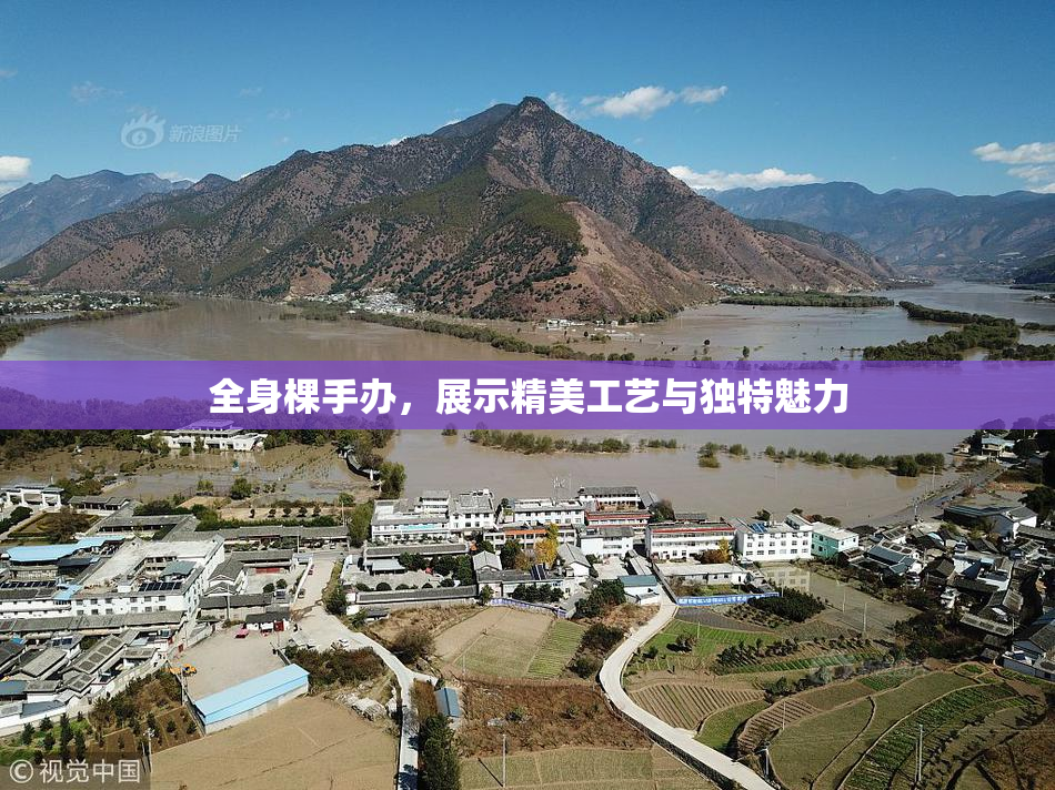 全身棵手办，展示精美工艺与独特魅力