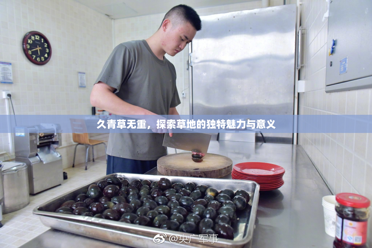 久青草无重，探索草地的独特魅力与意义