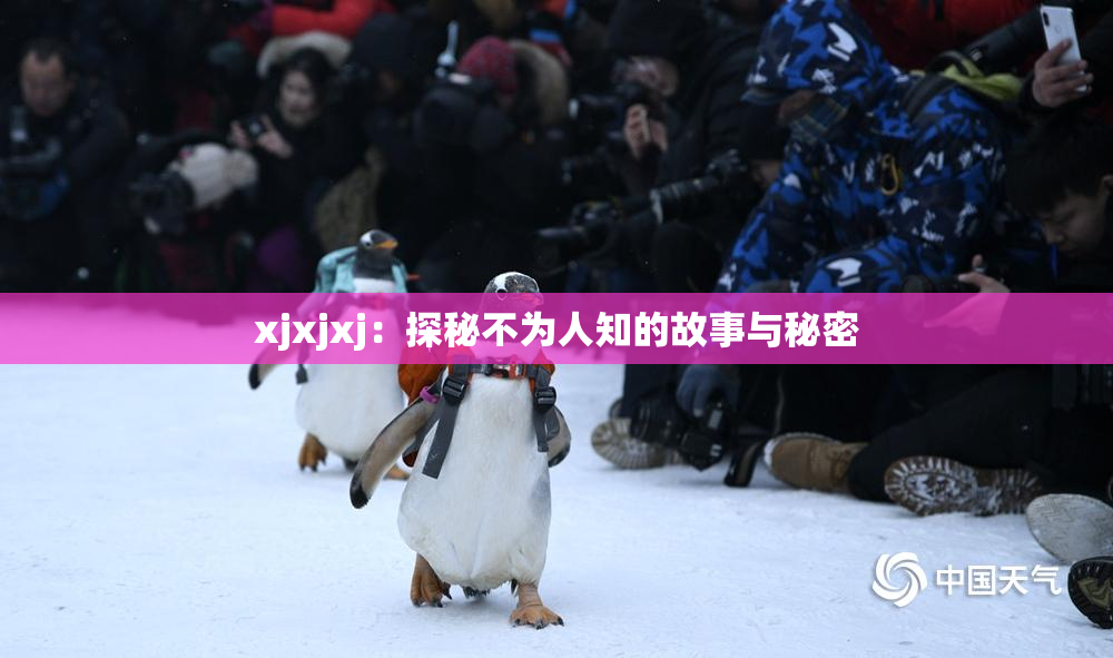xjxjxj：探秘不为人知的故事与秘密