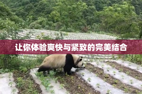 让你体验爽快与紧致的完美结合
