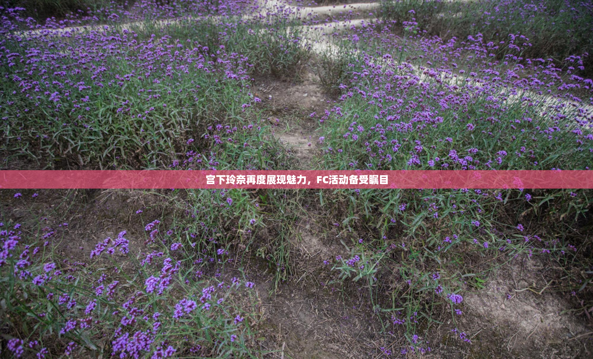 宫下玲奈再度展现魅力，FC活动备受瞩目