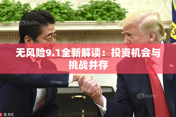 无风险9.1全新解读：投资机会与挑战并存
