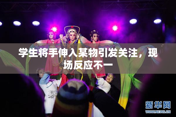 学生将手伸入某物引发关注，现场反应不一