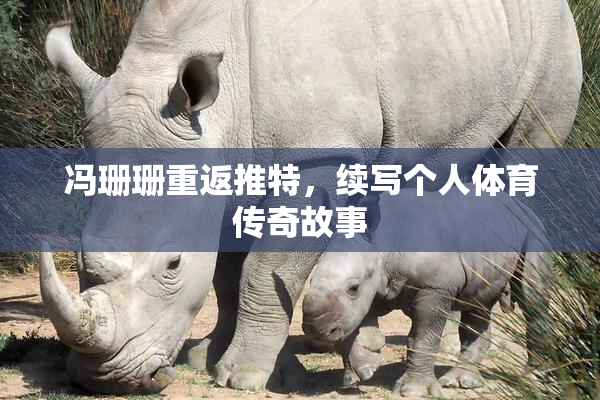冯珊珊重返推特，续写个人体育传奇故事