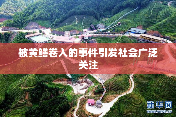 被黄鳝卷入的事件引发社会广泛关注