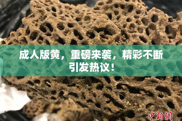 成人版黄，重磅来袭，精彩不断引发热议！