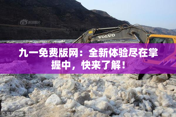 九一免费版网：全新体验尽在掌握中，快来了解！