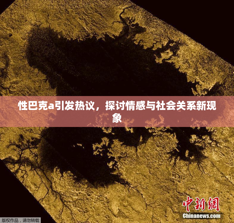 性巴克a引发热议，探讨情感与社会关系新现象
