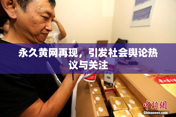 永久黄网再现，引发社会舆论热议与关注
