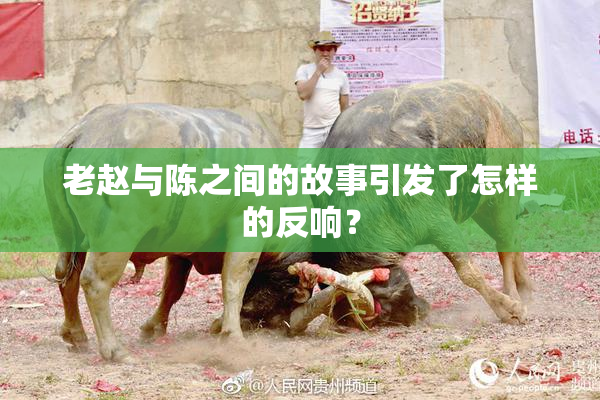 老赵与陈之间的故事引发了怎样的反响？