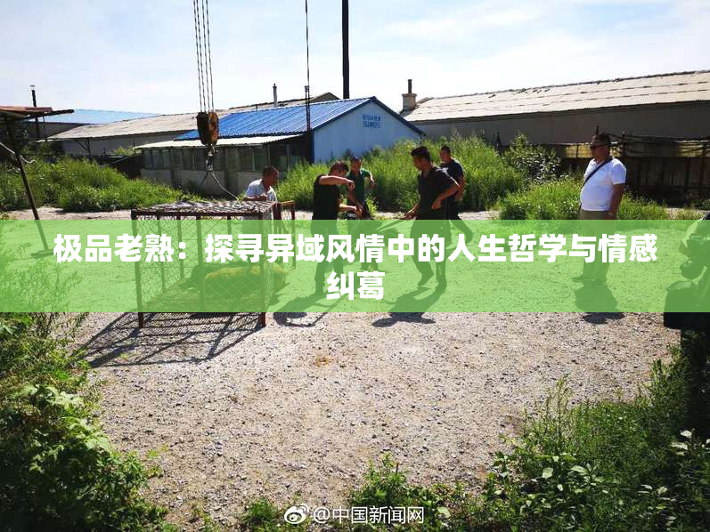 极品老熟：探寻异域风情中的人生哲学与情感纠葛
