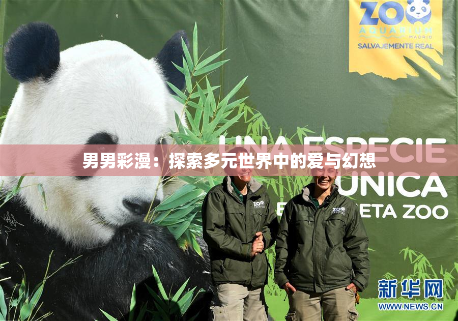 男男彩漫：探索多元世界中的爱与幻想