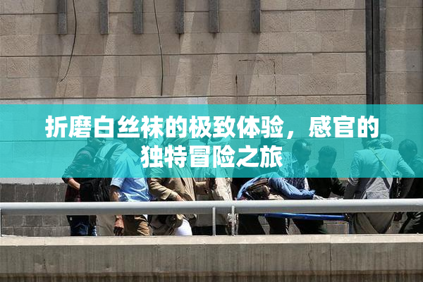 折磨白丝袜的极致体验，感官的独特冒险之旅