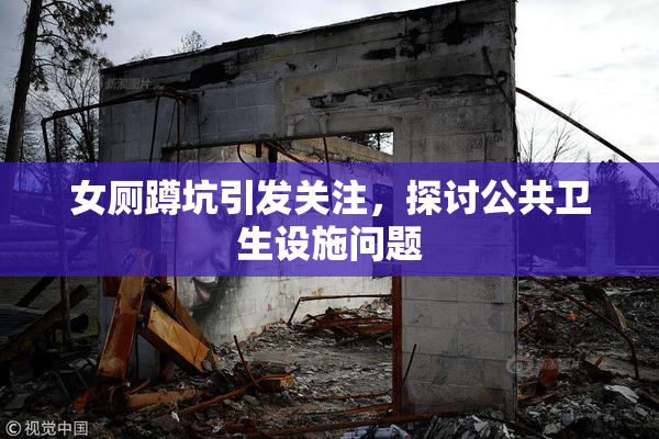 女厕蹲坑引发关注，探讨公共卫生设施问题