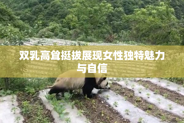 双乳高耸挺拔展现女性独特魅力与自信