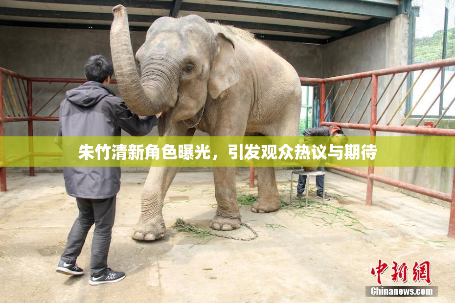 朱竹清新角色曝光，引发观众热议与期待