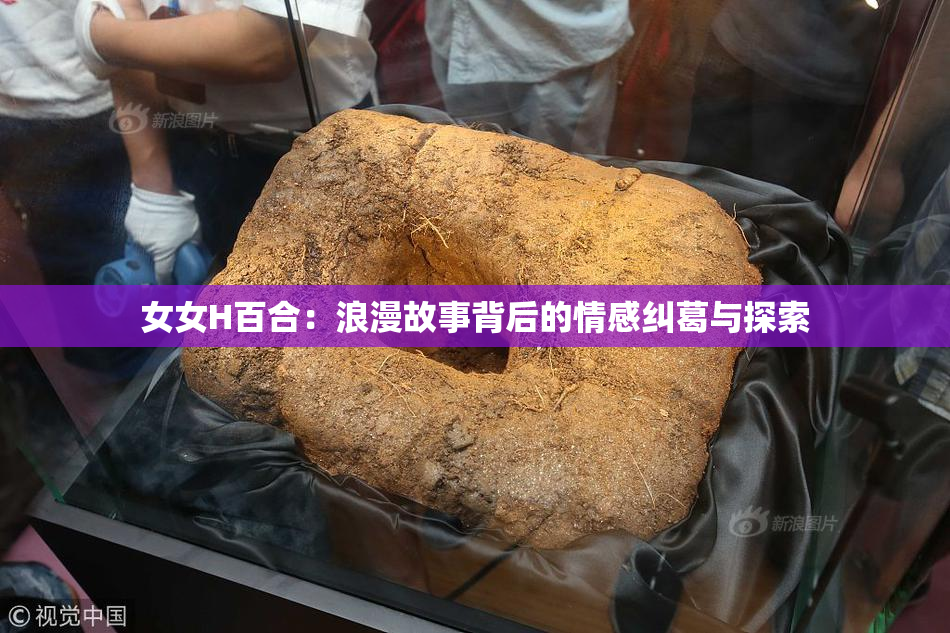 女女H百合：浪漫故事背后的情感纠葛与探索