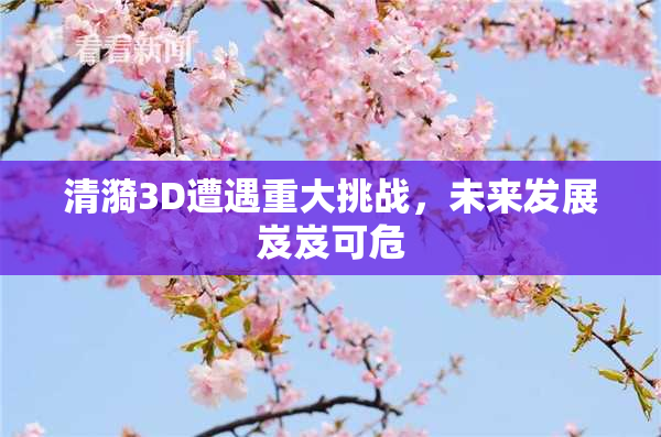 清漪3D遭遇重大挑战，未来发展岌岌可危