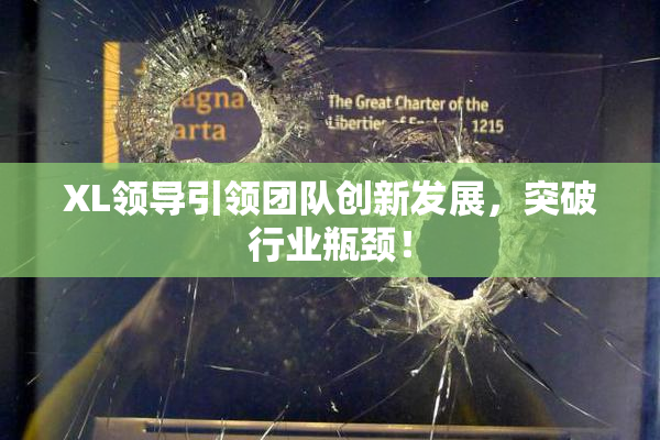 XL领导引领团队创新发展，突破行业瓶颈！
