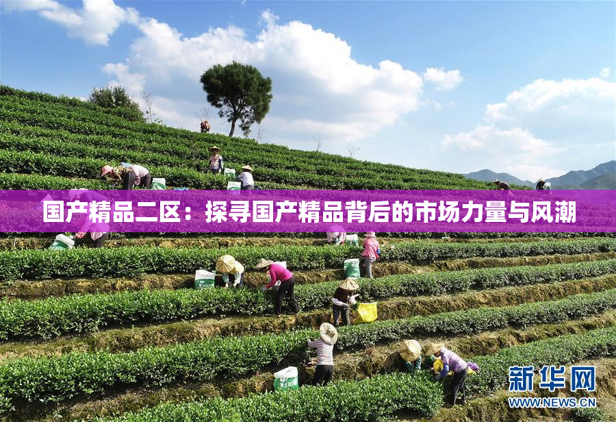 国产精品二区：探寻国产精品背后的市场力量与风潮