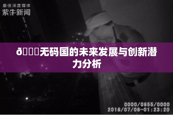 🔞无码国的未来发展与创新潜力分析