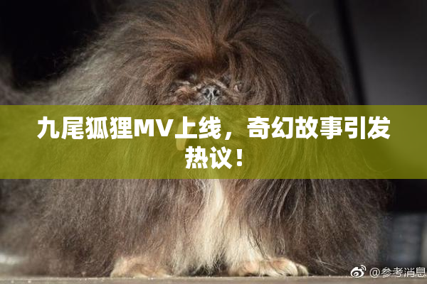 九尾狐狸MV上线，奇幻故事引发热议！