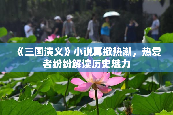 《三国演义》小说再掀热潮，热爱者纷纷解读历史魅力