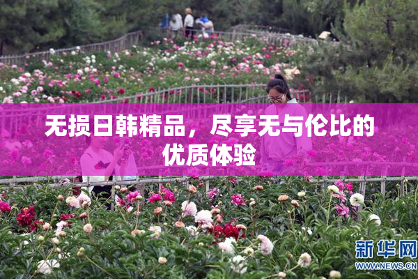 无损日韩精品，尽享无与伦比的优质体验