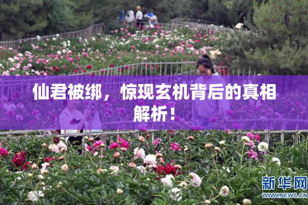 仙君被绑，惊现玄机背后的真相解析！