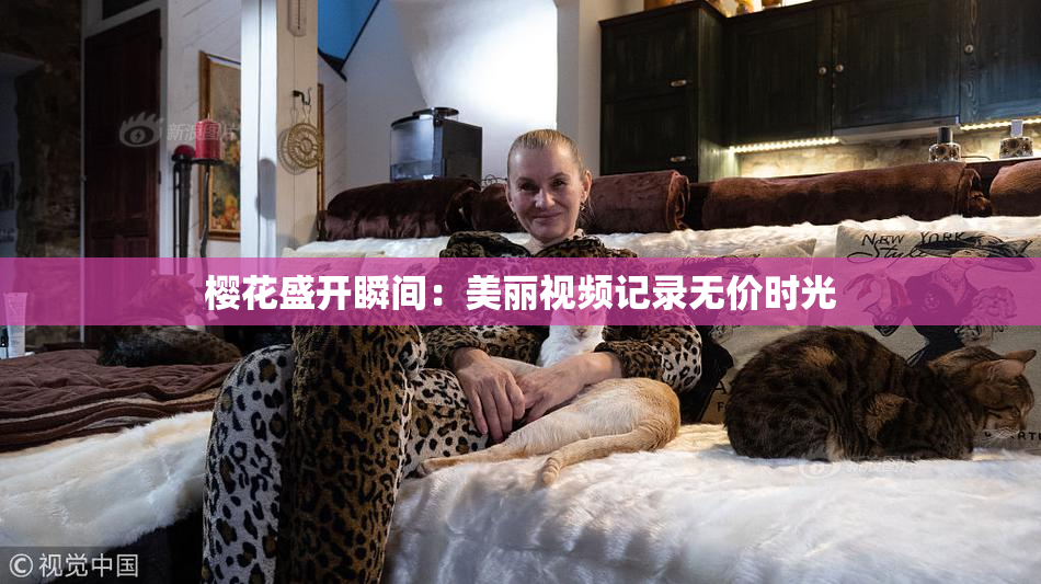 樱花盛开瞬间：美丽视频记录无价时光